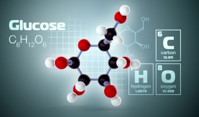 Reactants of Cellular Respiration glucose